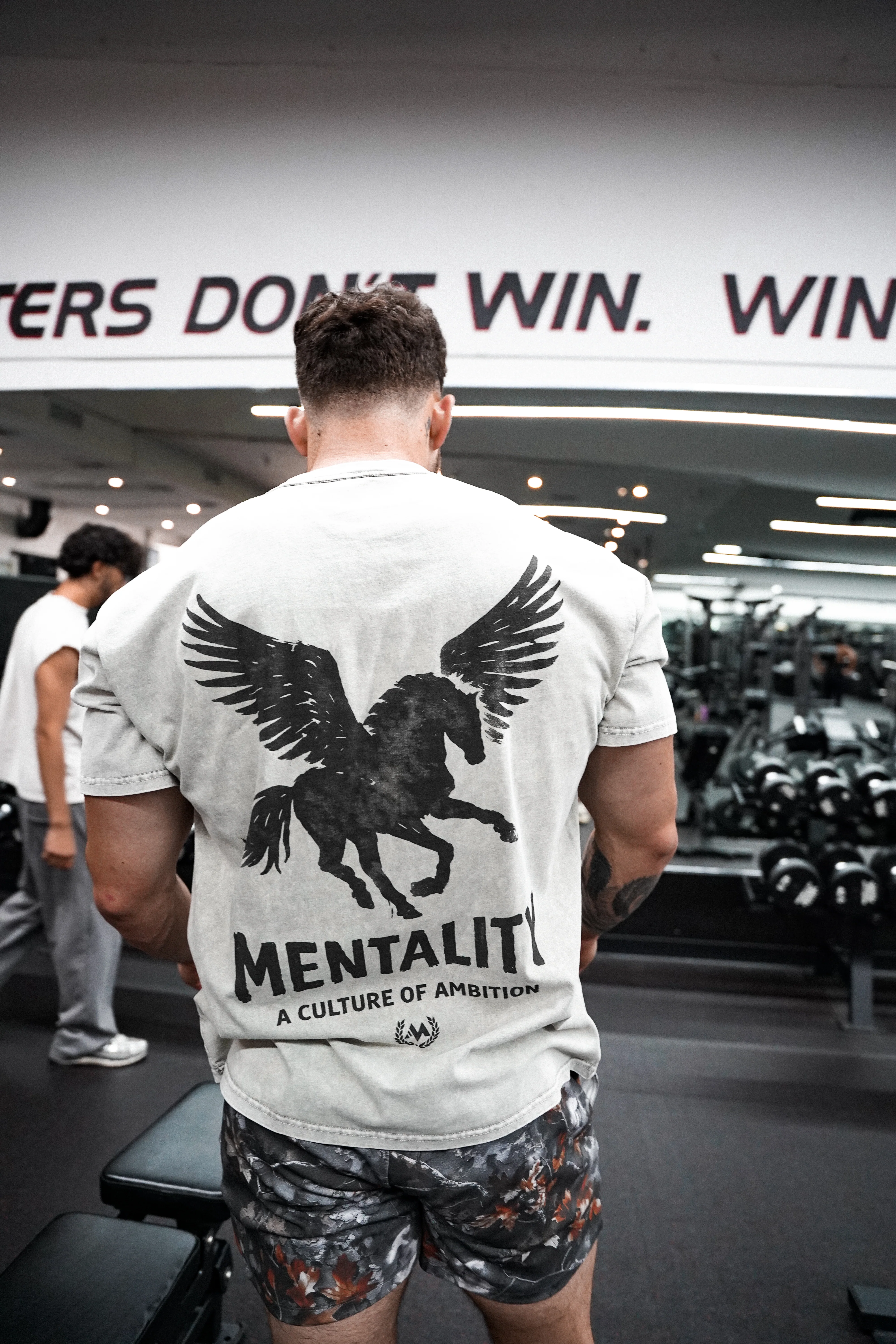 PEGASUS VINTAGE GRAY TEE - Image 3