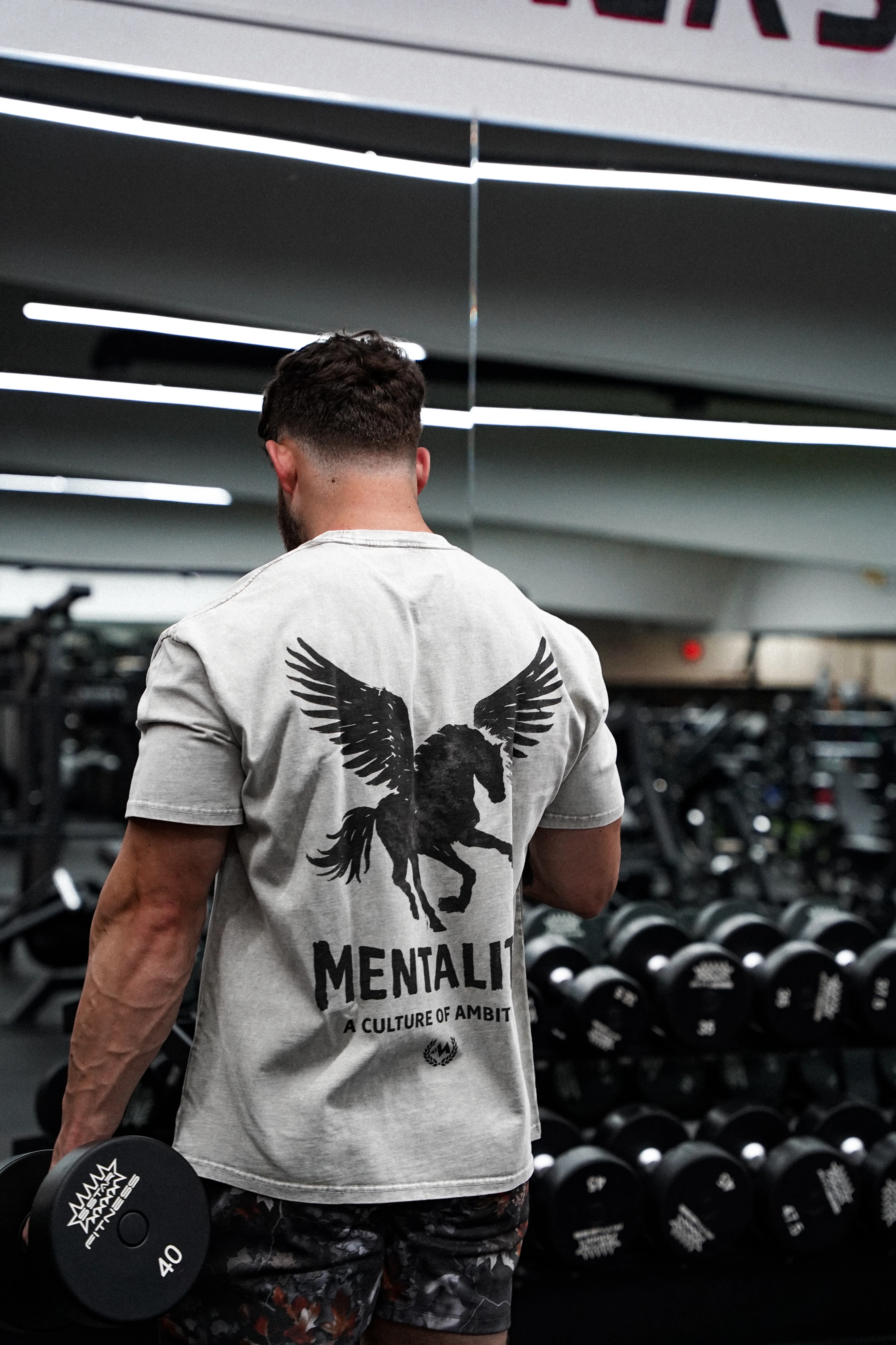 PEGASUS VINTAGE GRAY TEE - Image 4