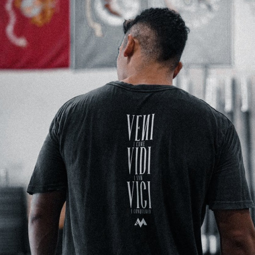 VENI VIDI VICI -  VINTAGE TEE - Image 3
